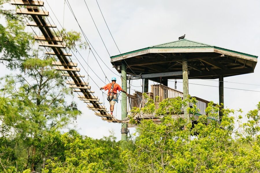 Orlando: Gatorland Skip-the-Line Ticket - More Than Just Gators: Aviary, Petting Zoo, and Animal Shows