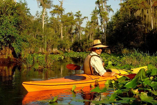 Orlando Manatee Encounters - How Long It Really Takes, and What the $80 Price Buys