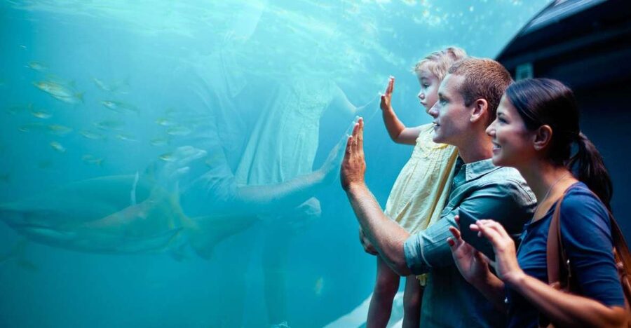 Orlando: SEA LIFE Orlando Aquarium - Price and Value: What $30 Gets You
