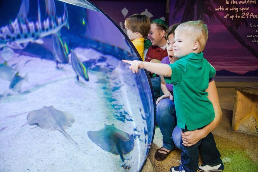 Orlando: SEA LIFE Orlando Aquarium - Aquarists at Work, Plus a Feeding Moment