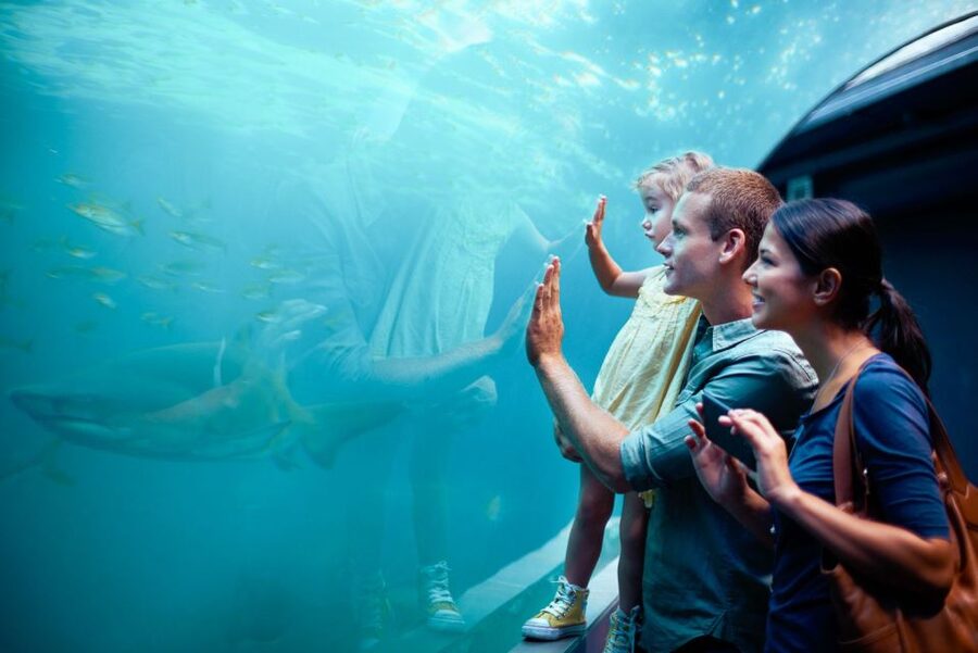 Orlando: SEA LIFE Orlando Aquarium - Optional Upgrades: VR Sharks and the Backstage Tour