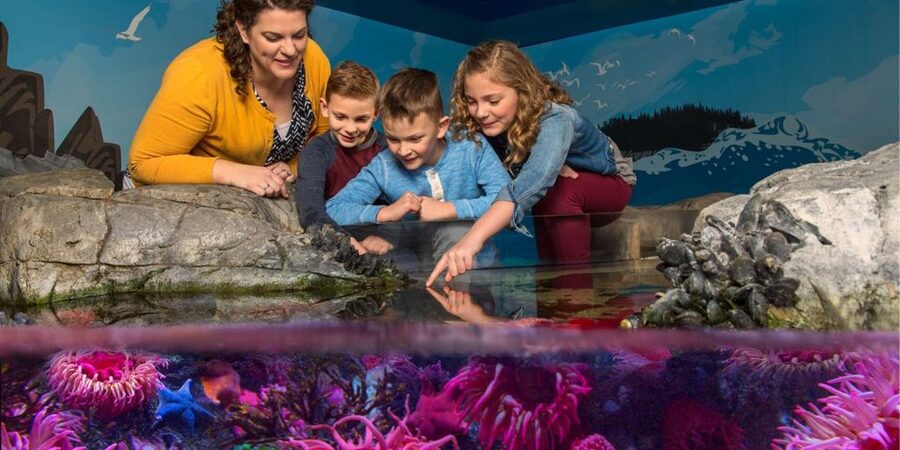 Orlando: SEA LIFE Orlando Aquarium - Timing, Pace, and When It Feels Just Right