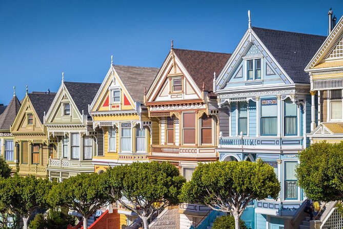Painted Ladies Wine Country Tour - Painted Ladies VW Bus to Sonoma: The Big Idea