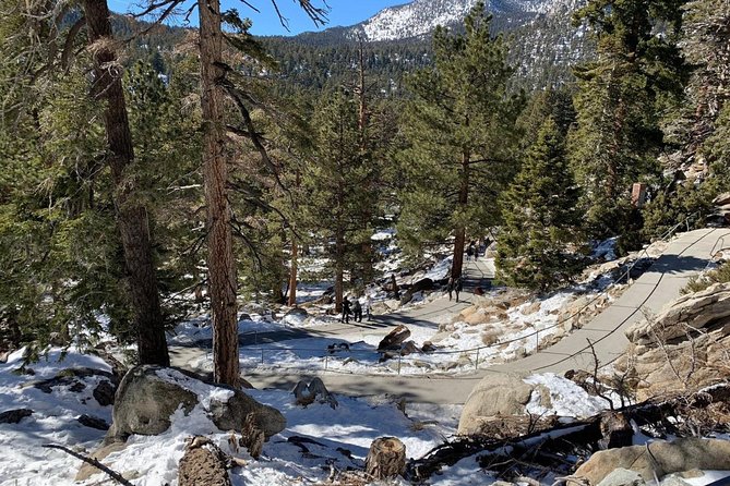 Palm Springs Aerial Tramway Admission Ticket - Key highlights you should know before you go