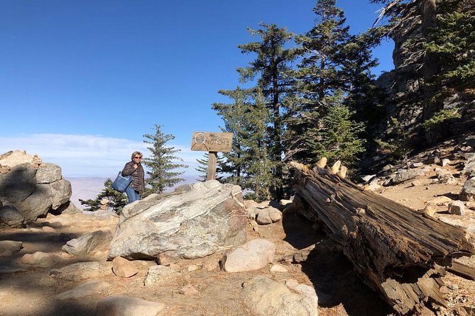 Palm Springs Aerial Tramway Admission Ticket - The ride: world-class views with a big altitude jump