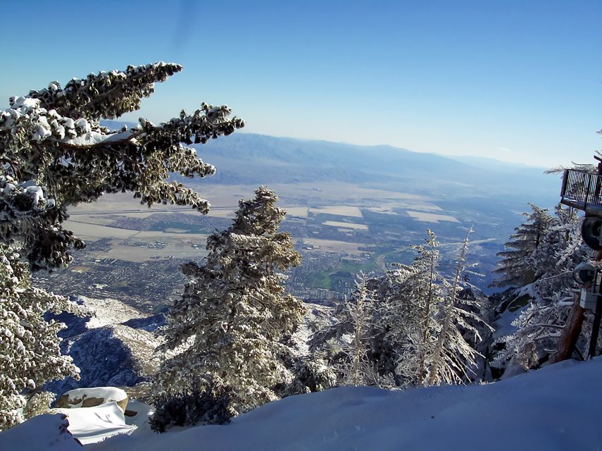 Palm Springs: Aerial Tramway Round-Trip Ticket - Key things that make this ticket special