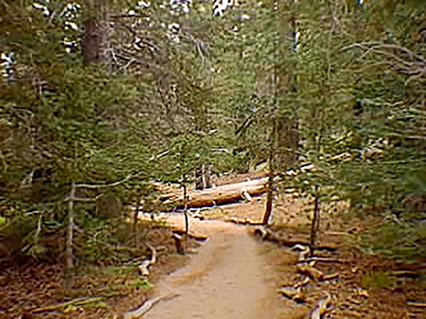 Palm Springs: Aerial Tramway Round-Trip Ticket - Valley Station to Mountain Station timing, lines, and when to go