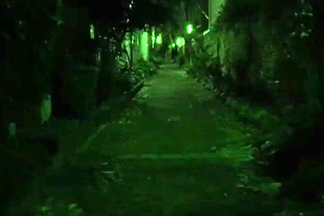 Paranormal Investigation: YOU are the Ghost Hunter - What you actually do on this ghost hunt in Charleston