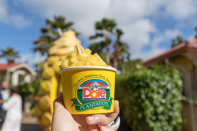 Pearl Harbor, Dole Plantation, and Polynesian Center from Waikiki - Key highlights worth planning around