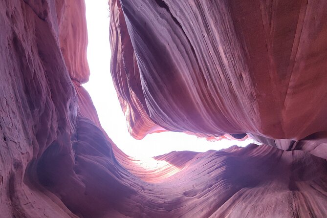 Peek-A-Boo Slot Canyon Tour UTV Adventure (Private) - Sandboarding: the optional add-on that people actually remember