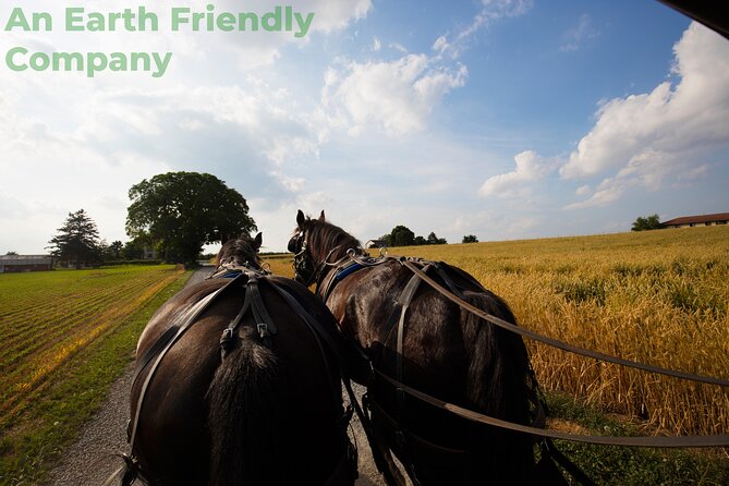 Philadelphia and Amish Country, 1-Day Tour from NYC - Philadelphia highlights: Liberty Bell Center and the historic core