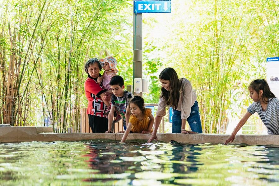 Phoenix Zoo One Day General Admission Ticket - Key highlights to plan around