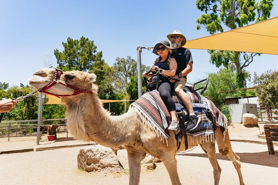 Phoenix Zoo One Day General Admission Ticket - Food, restrooms, and desert reality checks