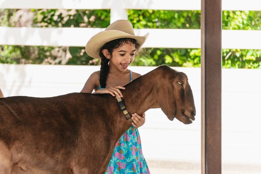 Phoenix Zoo One Day General Admission Ticket - Best matches: who will love this one-day ticket most
