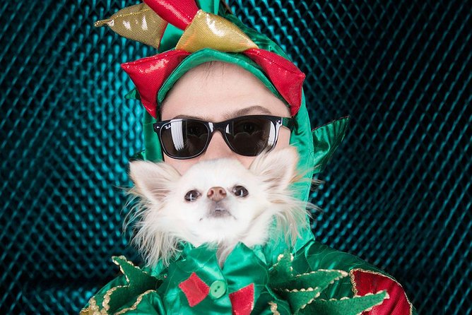 Piff the Magic Dragon at the Flamingo Las Vegas - The show itself: comedy, sleight-of-hand, and why it lands