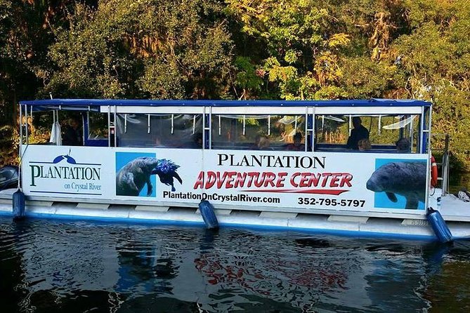 Plantation's Kings Bay Scenic Cruise - Captain narration and the wildlife hunt: why the guidance matters