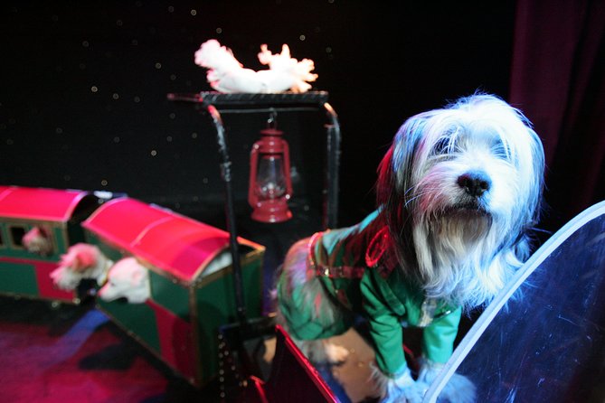 Popovich Comedy Pet Theater at Planet Hollywood Resort and Casino - Stepping into Planet Hollywood’s V Theater