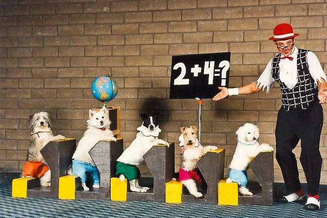 Popovich Comedy Pet Theater at Planet Hollywood Resort and Casino - Duration and pacing: how 1 hour 10 minutes feels in real life