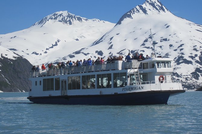 Portage Glacier Cruise and Wildlife Explorer Tour - Key highlights at a glance