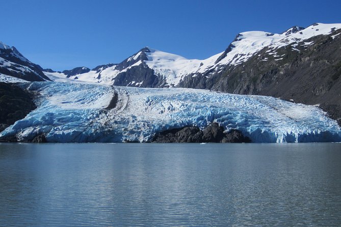 Portage Glacier Cruise and Wildlife Explorer Tour - Ice and rescued wildlife in one tidy Anchorage loop