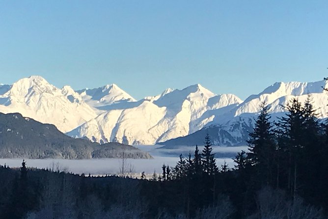 Portage Glacier Cruise and Wildlife Explorer Tour - Turnagain Arm and Seward Highway scenic stops that matter