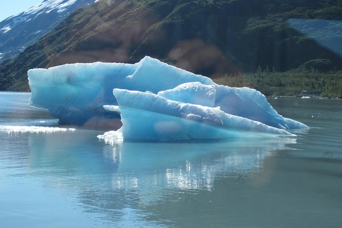 Portage Glacier Cruise and Wildlife Explorer Tour - Guides and small-group pacing, from Matt to Gary