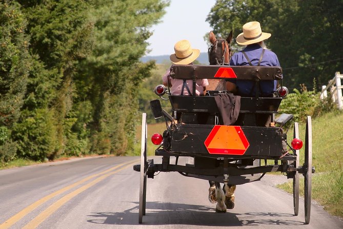 Premium Amish Country Tour including Amish Farm and House - Amish Country in Real Time, Not Just Photos