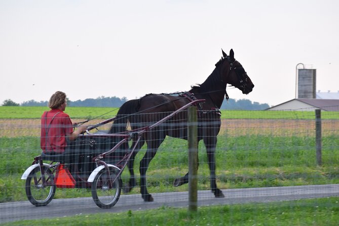 Premium Amish Country Tour including Amish Farm and House - Premium Upgrade: The 1805 Farmhouse Tour You Can’t Get From the Road