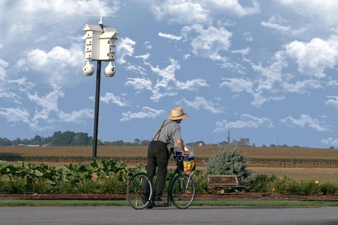 Premium Amish Country Tour including Amish Farm and House - How the Timing Works, and How to Choose Your Order
