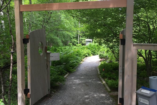 Premium Narrated Bus Tour of Bar Harbor and Acadia National Park (3.5 Hours) - Leaving the car behind: your day starts at 53 Main St