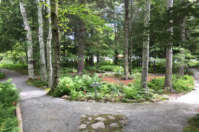 Premium Narrated Bus Tour of Bar Harbor and Acadia National Park (3.5 Hours) - Price value: what you get for about $99.36