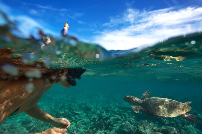 Premium Oahu Circle Island Tour – Small Group, No Crowds - From Diamond Head to Halona Blowhole, the classic views in quick bursts