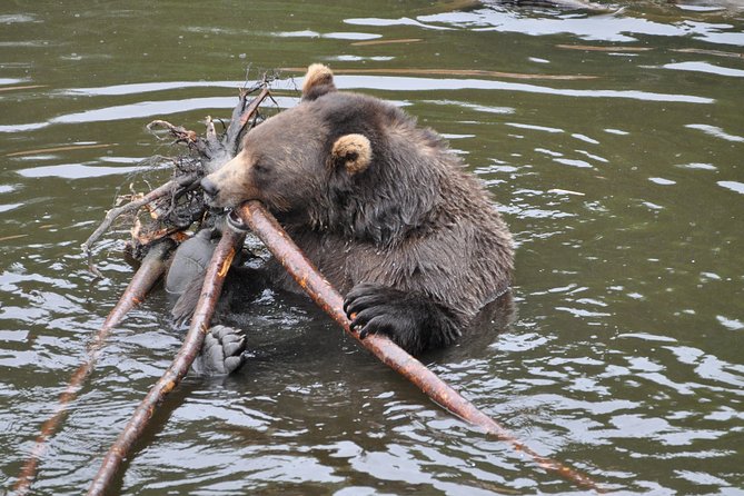 PREMIUM Sitka Scenic Tour - Sitka in 2.5 Hours: How the Timing Really Works