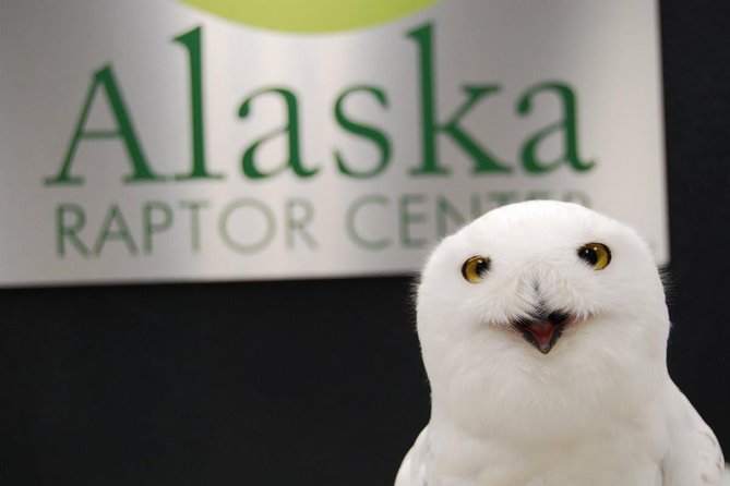 PREMIUM Sitka Scenic Tour - Alaska Raptor Center: Rehabilitation, Flight Training, and Resident Birds