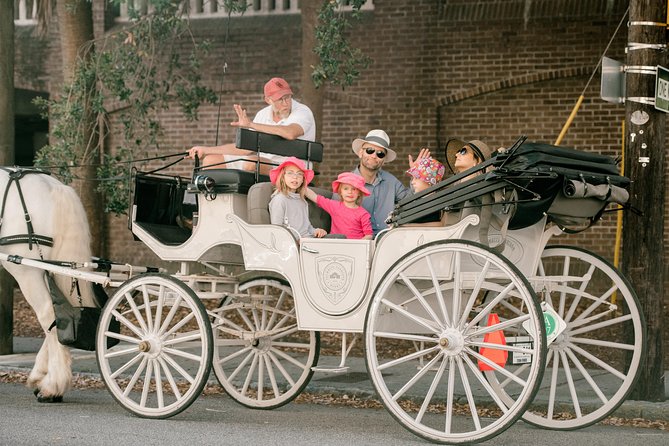 Private Daytime Horse-Drawn Carriage Tour of Charleston - The U.S. Custom House story, told from the street