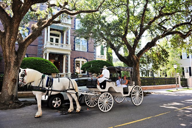 Private Daytime Horse-Drawn Carriage Tour of Charleston - How the city lottery changes what you see
