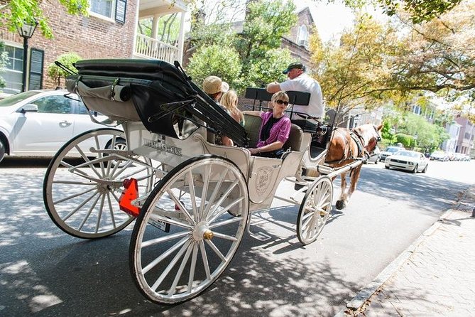 Private Daytime Horse-Drawn Carriage Tour of Charleston - The guide and horse are the whole deal, not just decoration