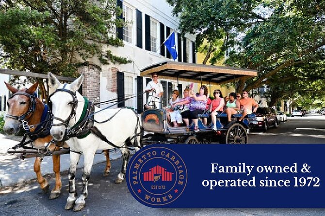 Private Daytime Horse-Drawn Carriage Tour of Charleston - Value check: $325 per group, and when it feels worth it