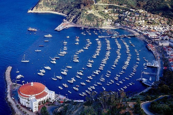Private Guided Golf Cart Tour of Avalon - Getting started: pickup, meeting your guide, and the first views