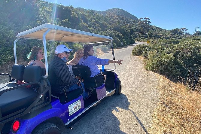 Private Guided Golf Cart Tour of Avalon - Price and value: what $302.50 per group really means