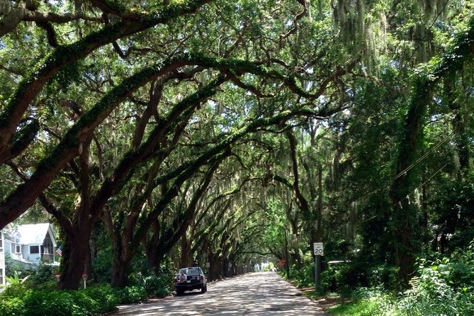Private Guided Historic Electric Cart Tour of St. Augustine - Why the Small-Group Setup Feels Personal