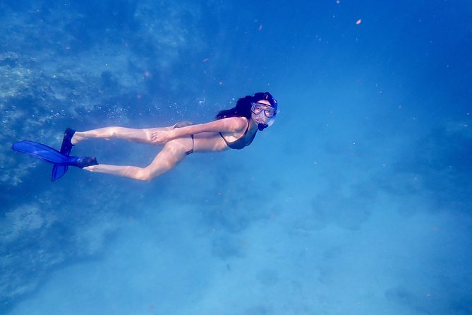 Private Looe Key Snorkel from Big Pine Key - Why Looe Key works so well for snorkeling