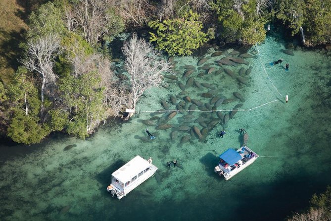 Private Manatee Swim for up to 6 with In-Water Divemaster/Photographer - Comfort Setup: Wetsuits, Towels, and Warm Drinks
