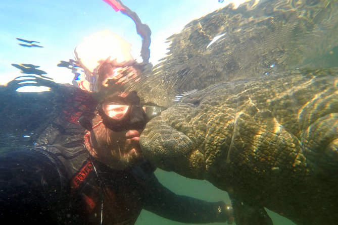 Private Manatee Swim for up to 6 with In-Water Divemaster/Photographer - What Your Private 4-Hour Manatee Swim Actually Looks Like