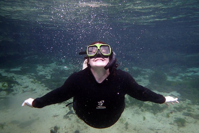 Private 'OG' Manatee Snorkel Tour with Guide for up to 10 people - The Water Time: How the Guide Shapes Your Manatee Chances