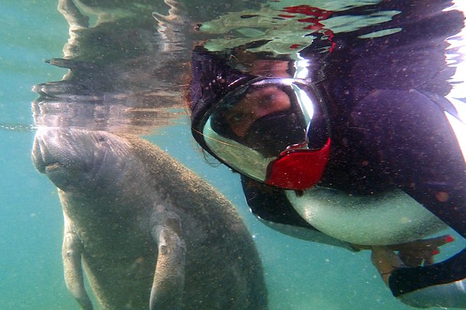Private 'OG' Manatee Snorkel Tour with Guide for up to 10 people - What to Pack and What Gear You Don’t Need