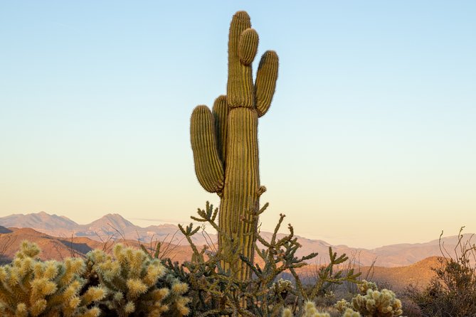 Private Scottsdale Off-Road Jeep Tour - Granite Summit Stop: 3,169 Feet of Perspective