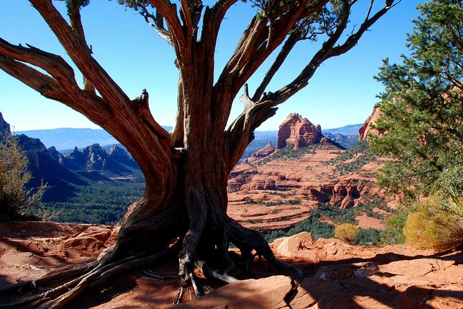PRIVATE Sedona Jeep Tour 4X4 Climb - Colorado Plateau - From Sedona to Flagstaff, the Road That Used to Be the Only One