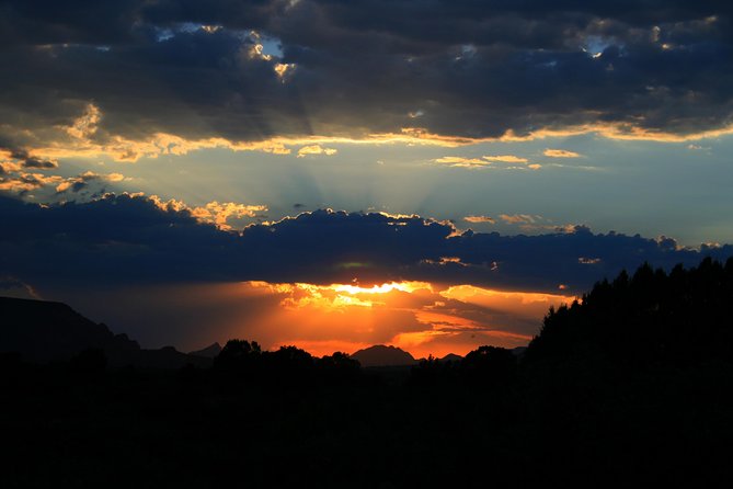 PRIVATE Sedona Jeep Tour Diamondback Gulch Extreme Off-Road - Wildlife and Desert Details: What the Guide Helps You Notice