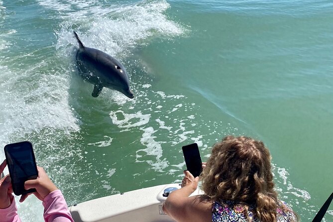 Private Shelling and Dolphin Excursion - Key Points Before You Go